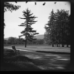 Parc Bertrand – Clichés, potences et toboggans